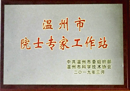 Academician Workstation_1.jpg