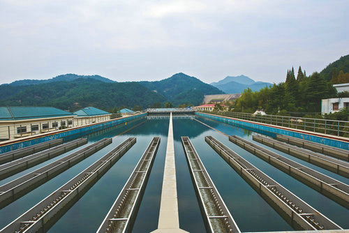 배트맨 토토 모바일 Pujiang Ganquan Water Plant (Xianhua Cup) _1.jpg
